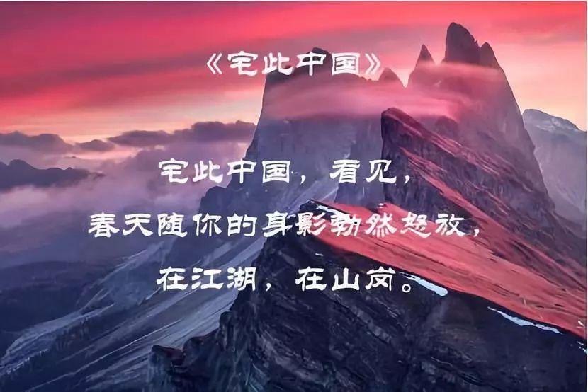 解惑蜗牛-司机未戴口罩被罚2千大哭,多方回应并没有罚款!背后有人在炒作吗?专业问答平台